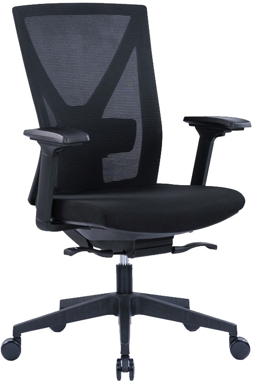 Kancelářská ergonomická židle Office Pro NYON BP