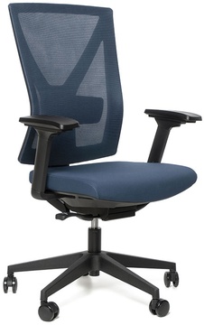 Kancelářská ergonomická židle Office Pro NYON BP
