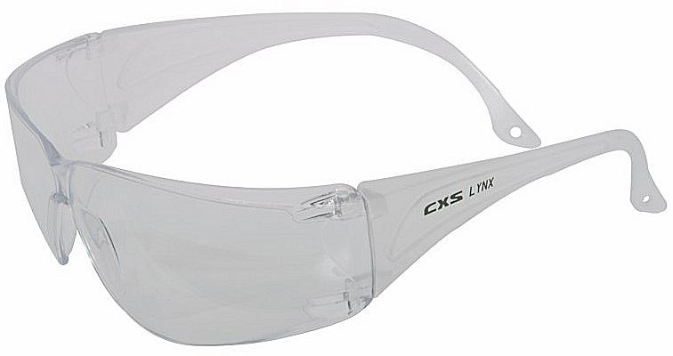 Ochranné brýle Canis Lynx s čirým zorníkem